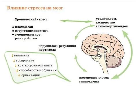 Психологические причины сновидений