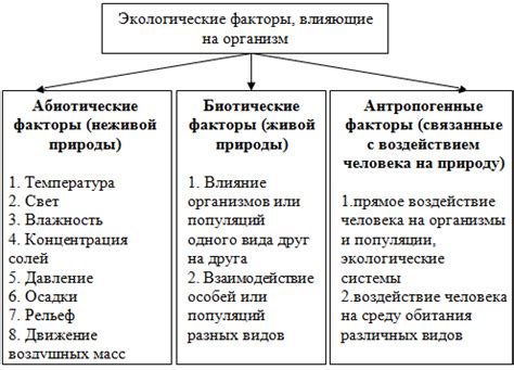 Психологические факторы и их влияние на внешний вид