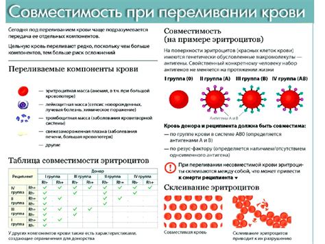 Психологический фактор: связь запаха крови с эмоциями