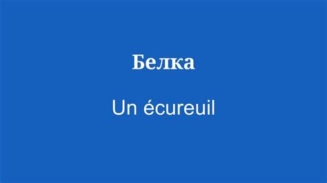 Путешествуйте и изучайте новое