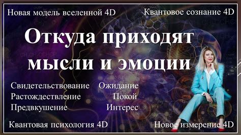 Пути к самопринятию: работа с собственными эмоциями и мыслями