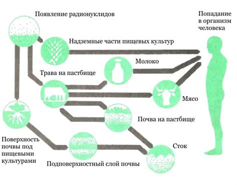 Пути попадания токсинов в организм