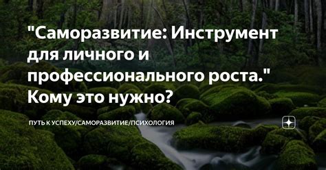 Путь к успеху: история профессионального роста