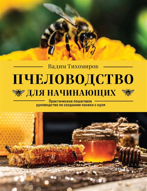 Пчеловодство для начинающих: подробная инструкция по созданию ульев на 12 рамок своими руками