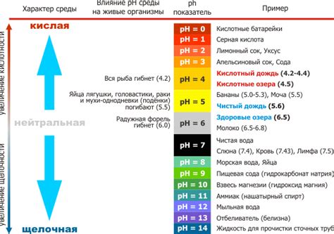 Пять способов изменить рН воды дома