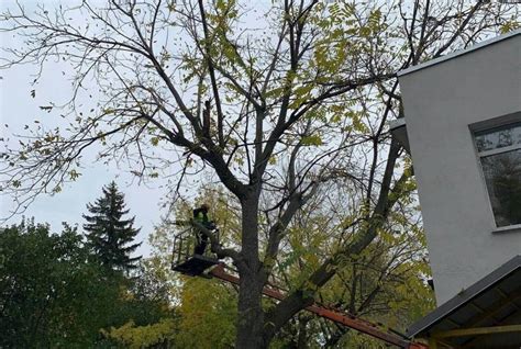 РКЦ в Лесном: полный спектр услуг и принципы работы