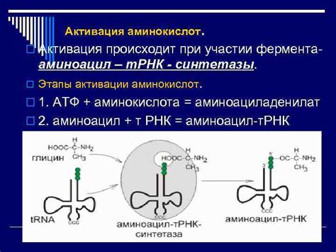 РНК-профилирование при определении аминокислот