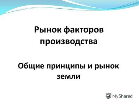 Работа Вишняковского рынка: принципы и специфика