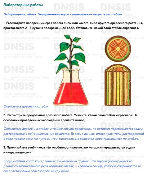 Работа законсервированных веществ