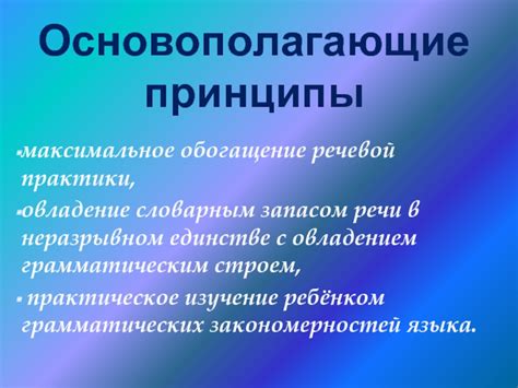 Работа над лексикой и словарным запасом