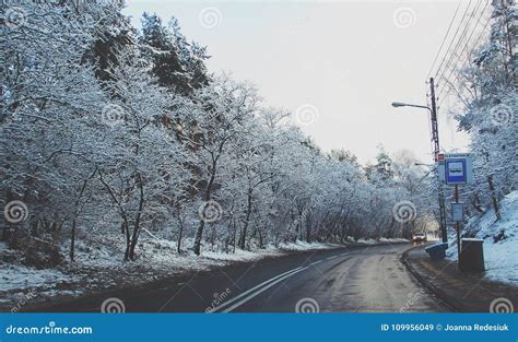 Работа с снегом и деревьями