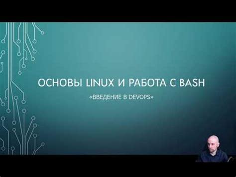 Работа с bash на Ubuntu