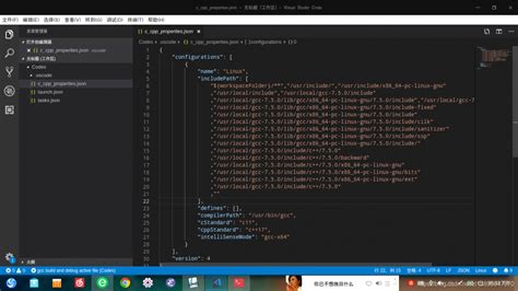 Работа с includepath в Visual Studio Code для разных языков программирования