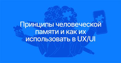 Работа человеческой памяти: основные принципы