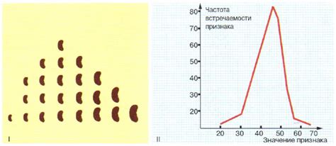 Равномерное распределение семян по рядам