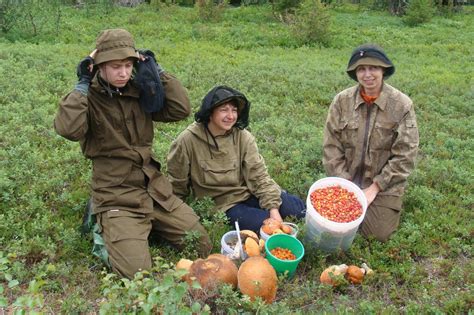 Разведка и сбор пищевых ресурсов