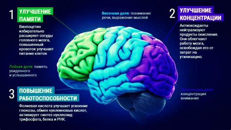 Развитие когнитивных навыков и мозговой активности