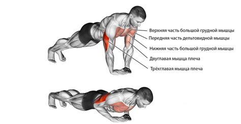 Развитие мышц верхней части тела через отжимания