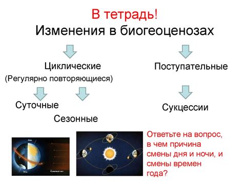 Развитие онлайн-сообществ