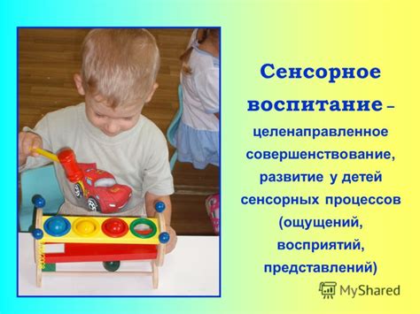 Развитие сенсорных ощущений