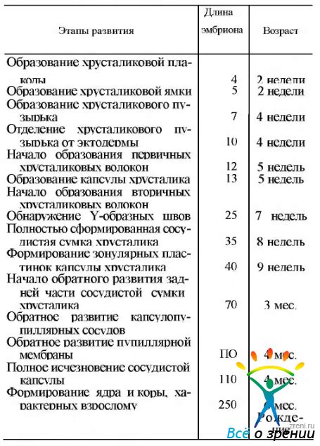 Развитие суставной жидкости и хрусталика