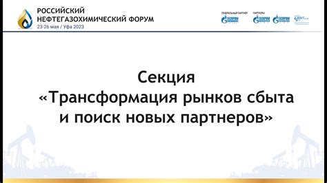 Развитие экспорта: поиск новых партнеров и рынков сбыта