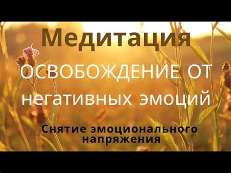 Развитие эмоционального интеллекта: освобождение от негативных эмоций