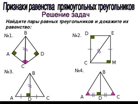 Разделение треугольников на два прямоугольных