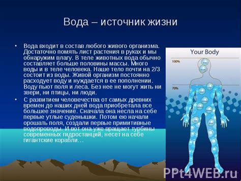 Раздел 1: Вода и ее значение для организма