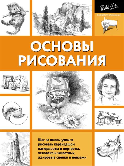 Раздел 1: Основы рисования карандашом