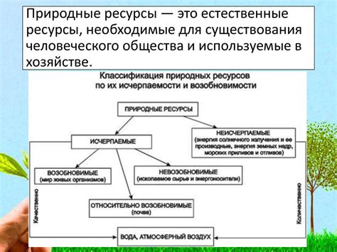 Раздел 1: Требования и необходимые ресурсы