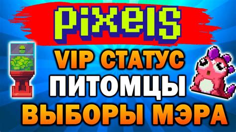 Раздел 1: Узнайте, что такое VIP-статус в ММ2