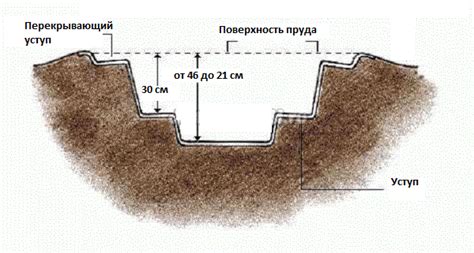 Раздел 2: Влияние глубины пруда