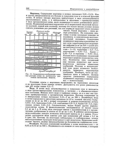 Раздел 2: Влияние качества почвы на доступность минеральных веществ