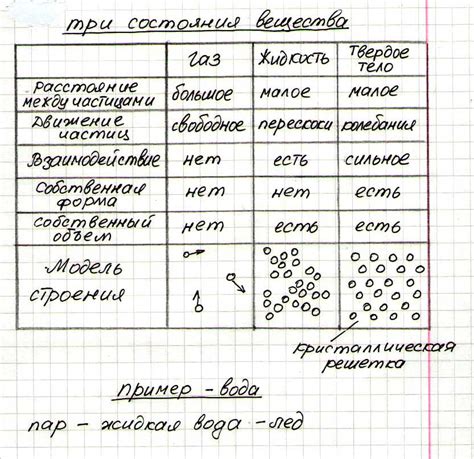 Раздел 2: Первоначальные шаги