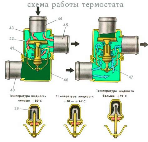 Раздел 2: Проверяем термостат