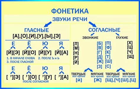 Раздел 2: Фонетическая особенность звуков