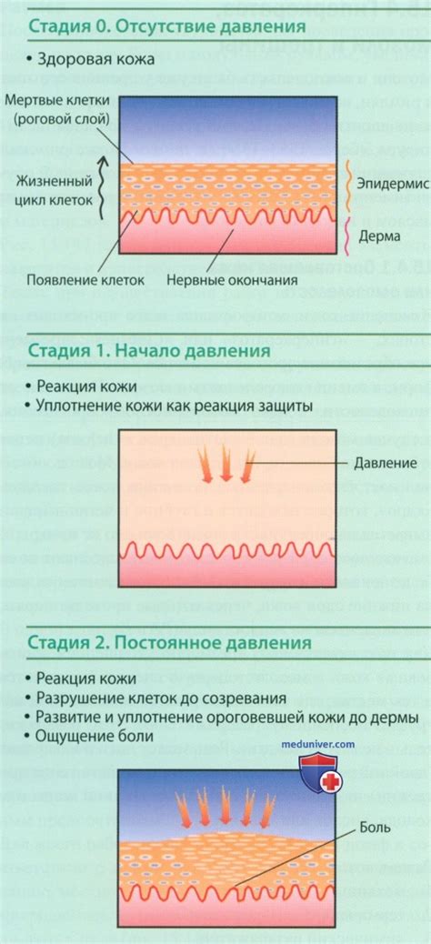 Раздел 2: Эффективные способы удаления смолы