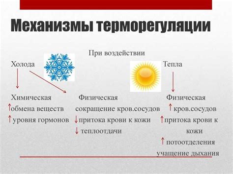 Раздел 2.1: Влияние высокой температуры на пищевые компоненты