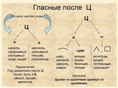 Раздел 2.2. Правила написания "ц" после "и"