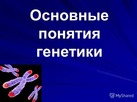 Раздел 3: Влияние генетики на минимальное потоотделение