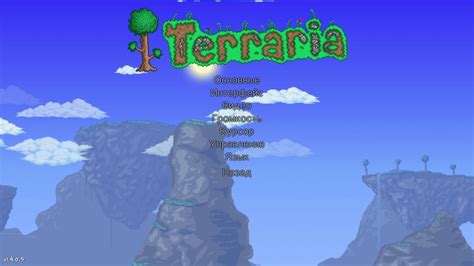 Раздел 3: Настройка IP адреса в игре Terraria на ПК