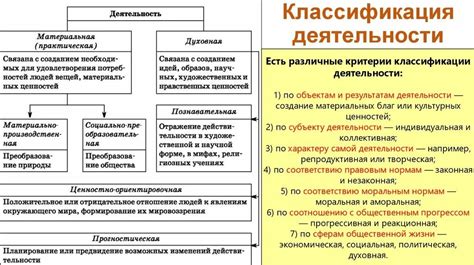 Раздел 3: Примеры основных видов деятельности