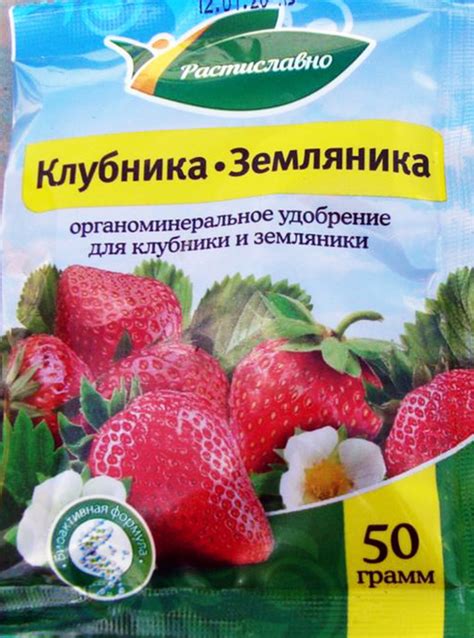 Раздел 4: Как скос клубники способствует обновлению и восстановлению растения