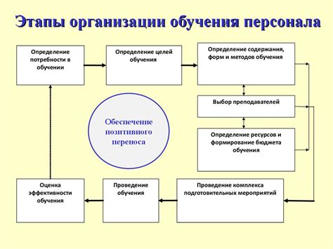 Раздел 4: Обучение командам и правилам поведения