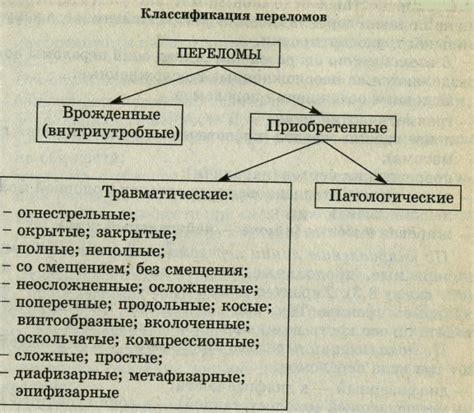 Раздел 4: Создание конечностей