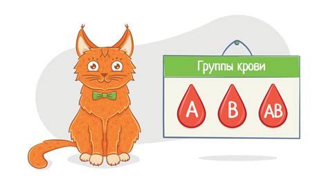 Раздел 4: Тестирование группы крови у кота в ветеринарной клинике