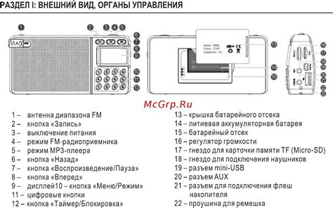 Раздел I: Внешний осмотр