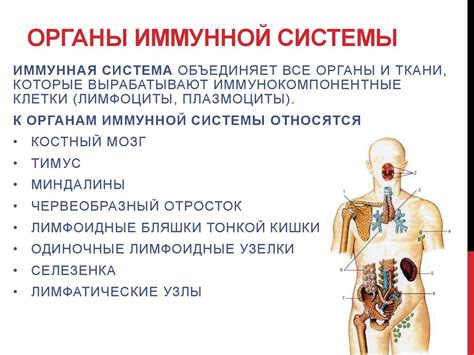 Различия в иммунной системе