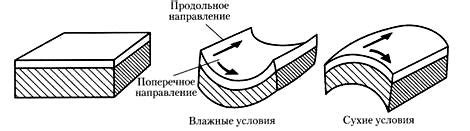 Различия в содержании влаги